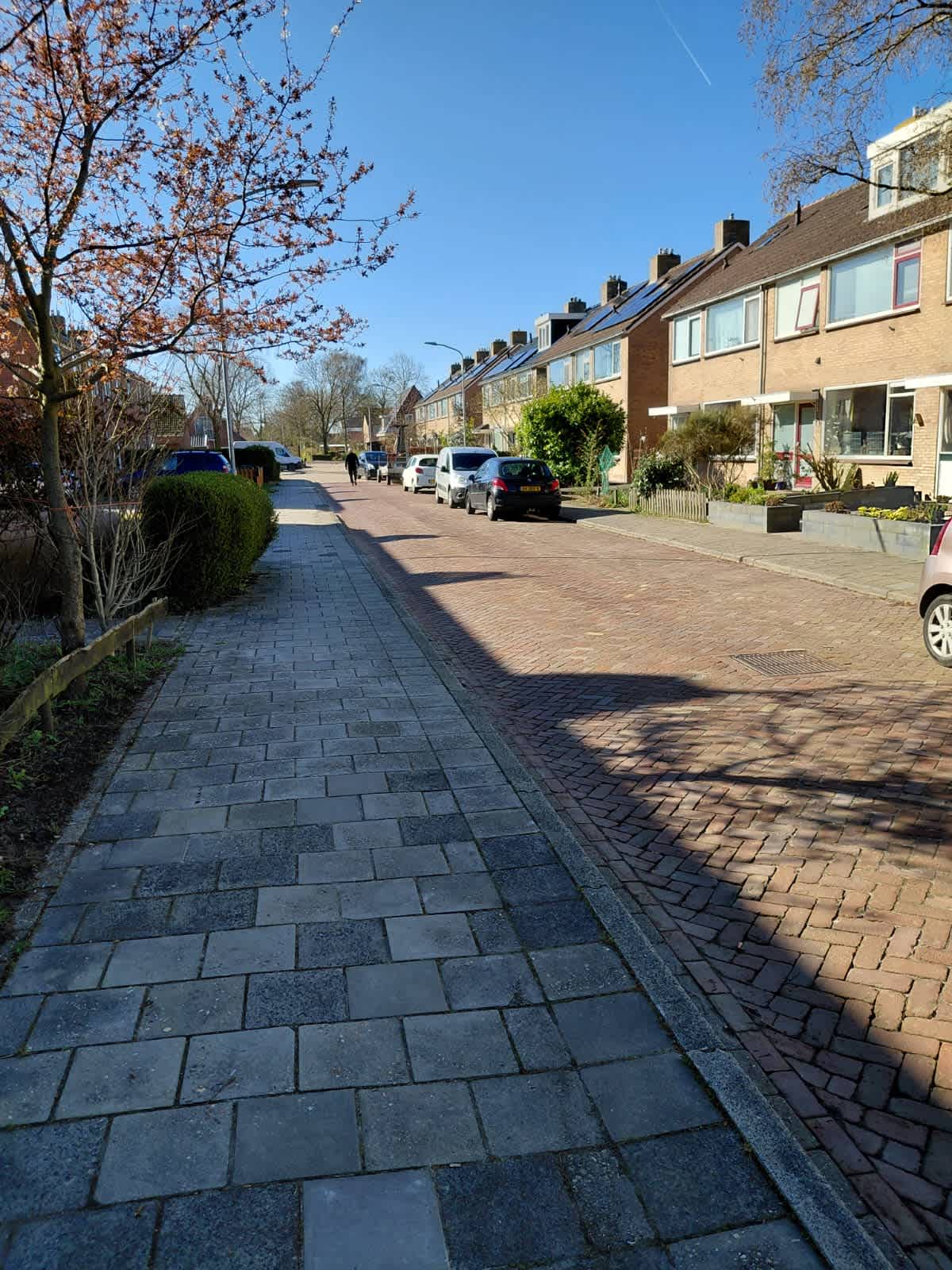 Lindenlaan 16 - Sauwerd