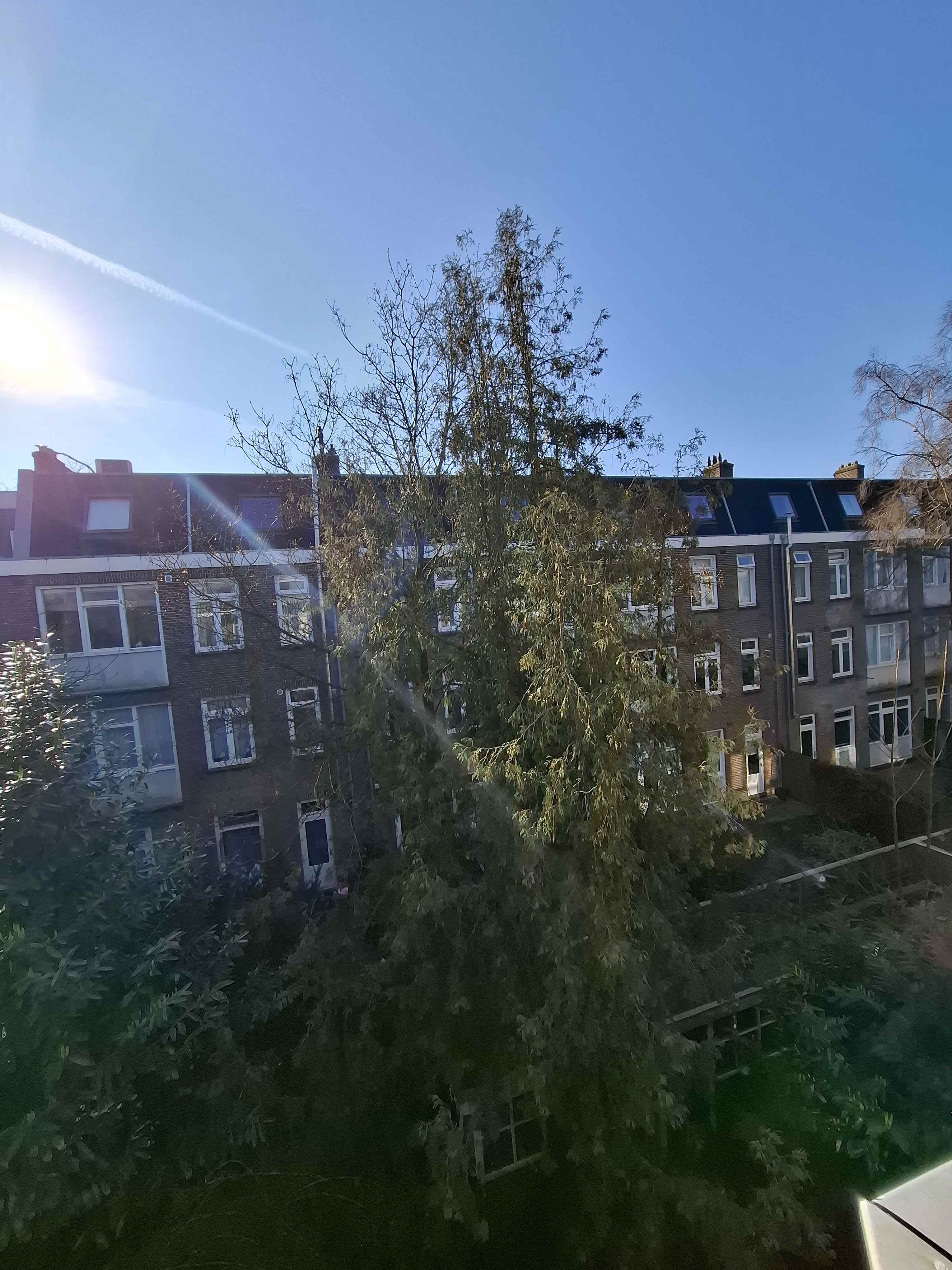 Vechtstraat 33-2 - Amsterdam