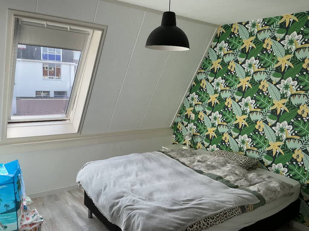 Brederodestraat 40B - Vianen