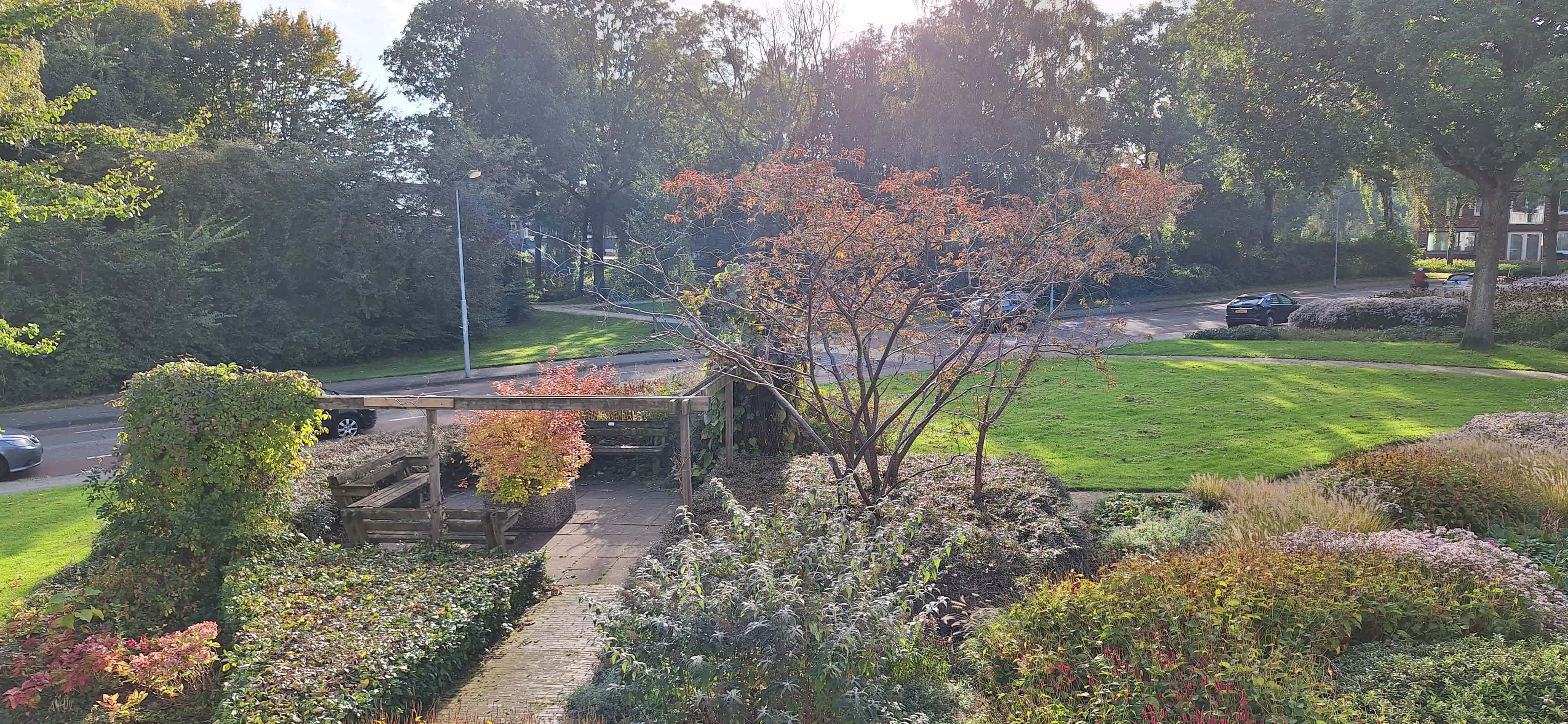 Gasthuislingelaan 126 - Tiel