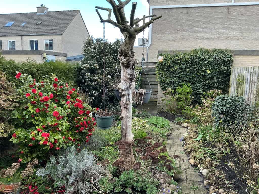 Beatrix van Egmondstraat 14 - Vianen