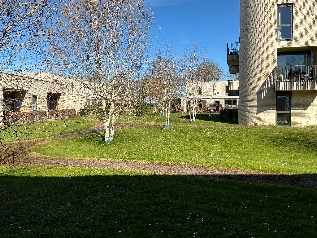 Appelgaard 7 - Buren