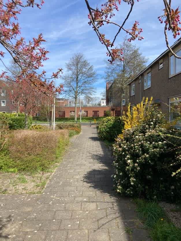 Kerkstraat 313 - Wormerveer