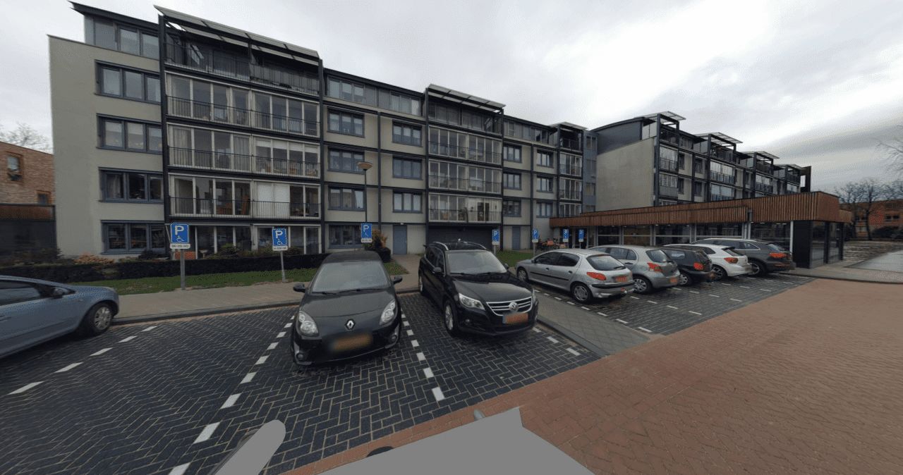 Pampagras 79 - Veenendaal