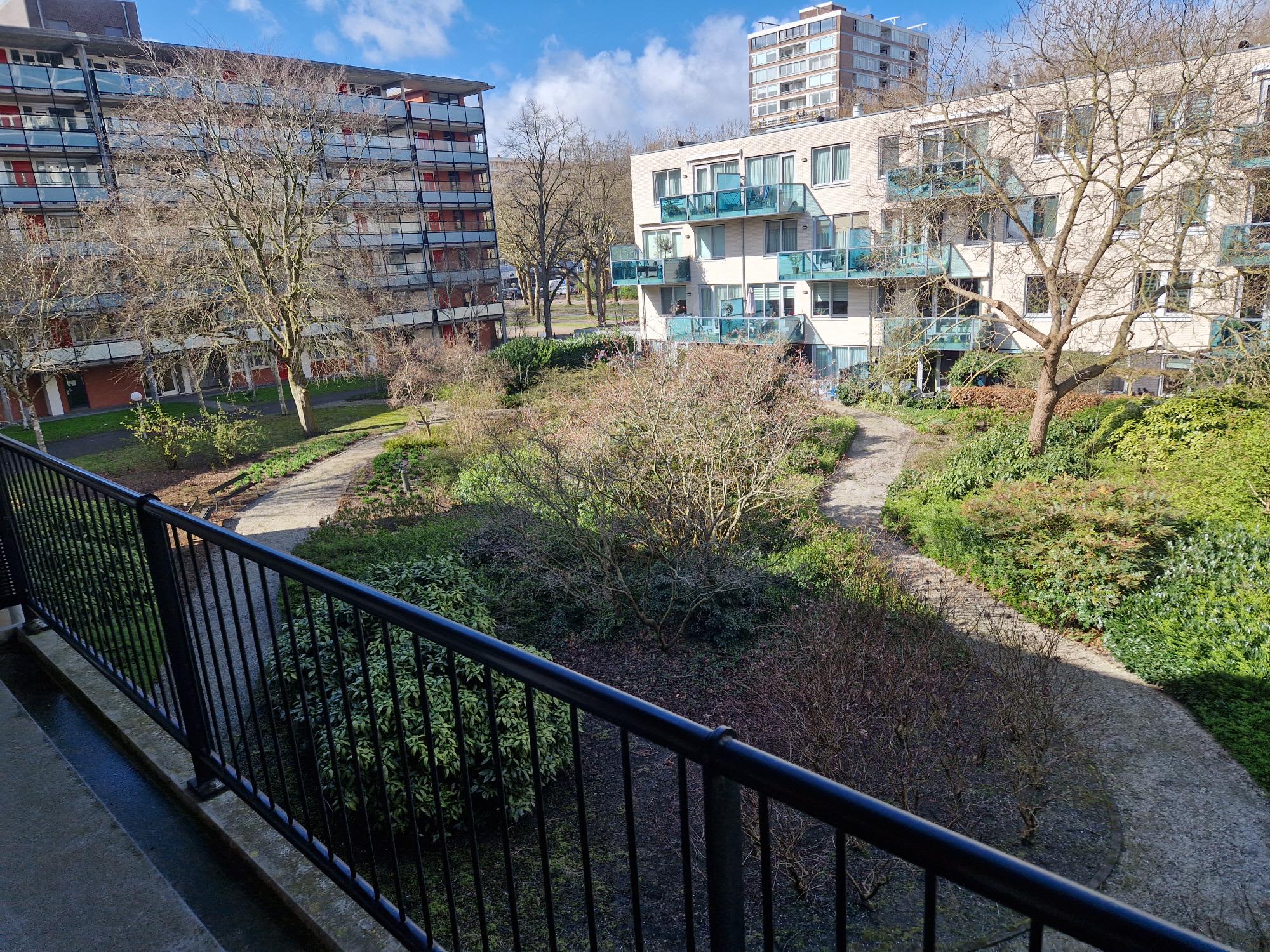 Radboud 14C - Amsterdam