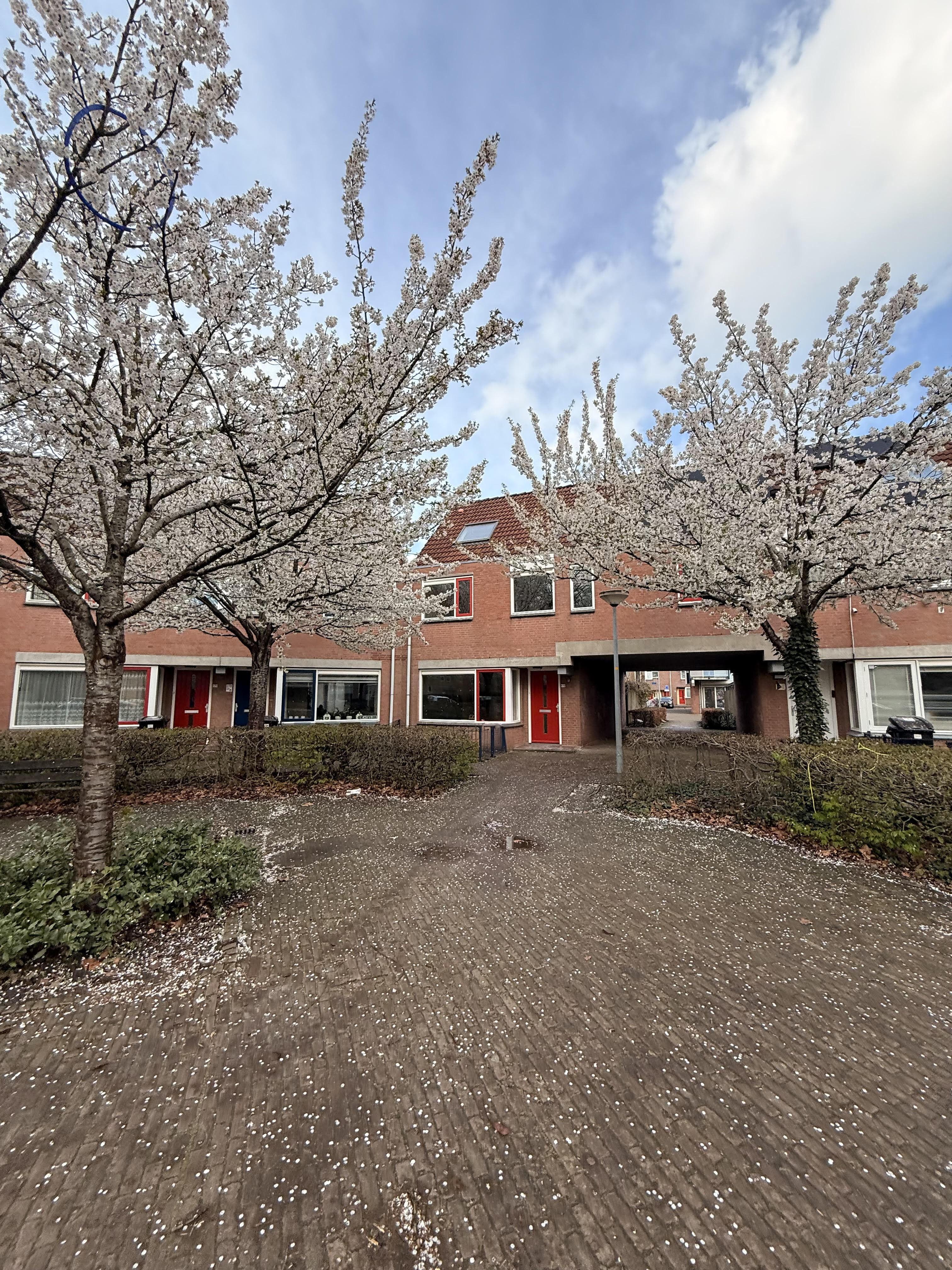 Binnenhof 173 - Almere