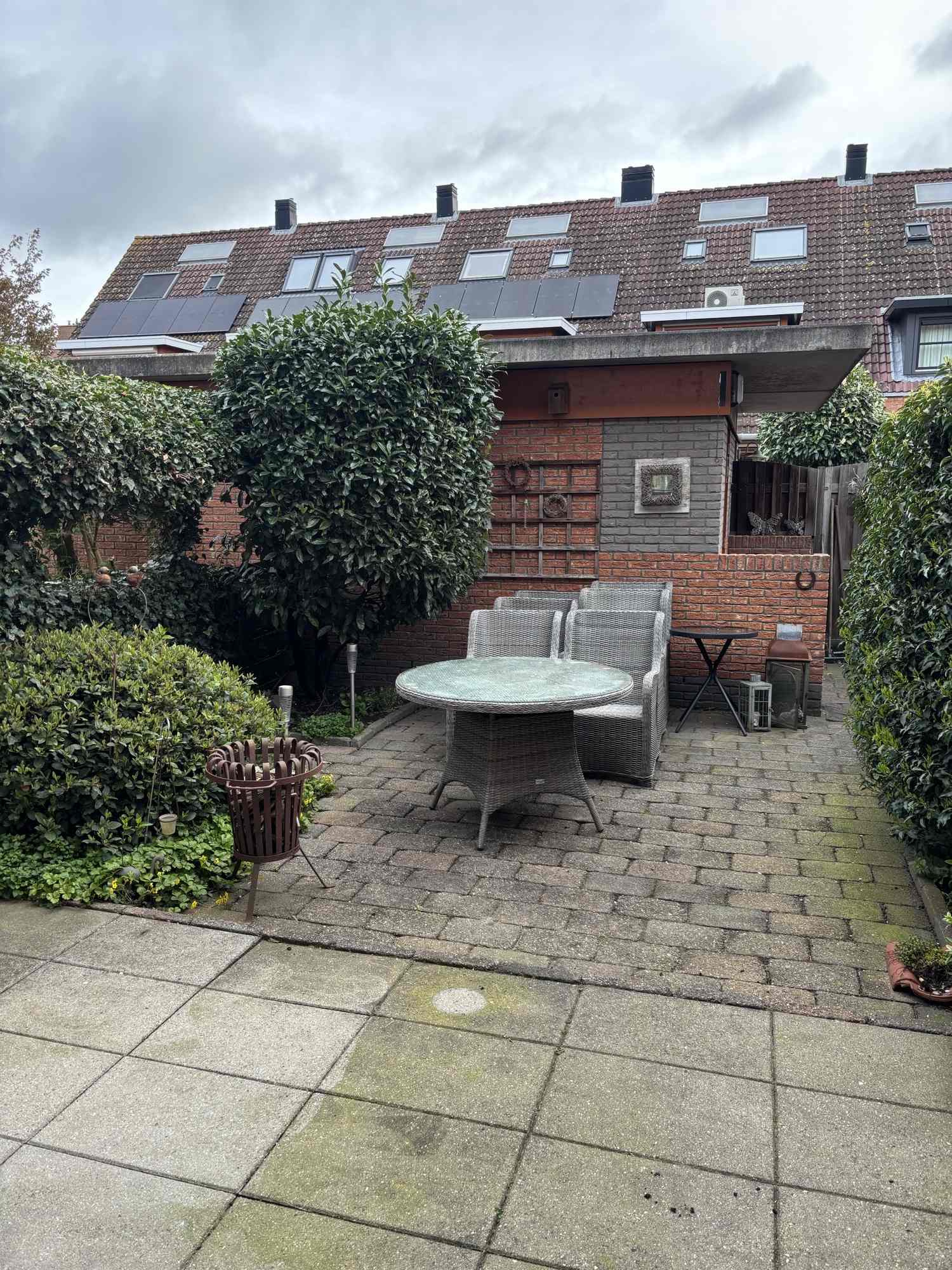 Waterlelie 25 - Montfoort