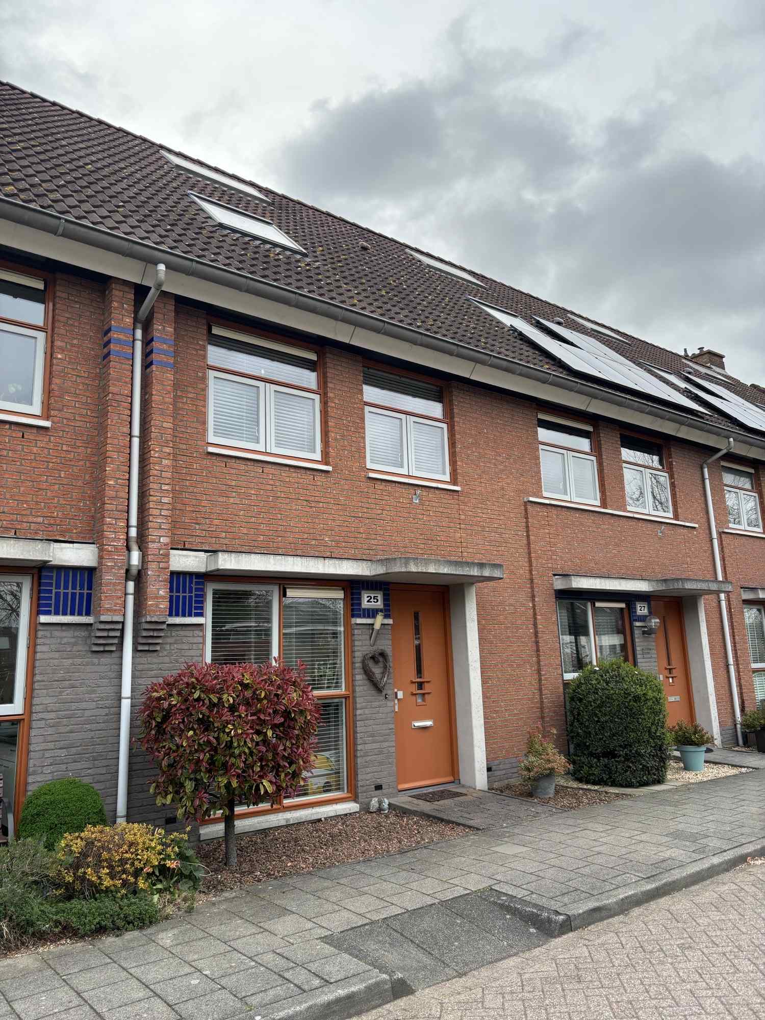 Waterlelie 25 - Montfoort