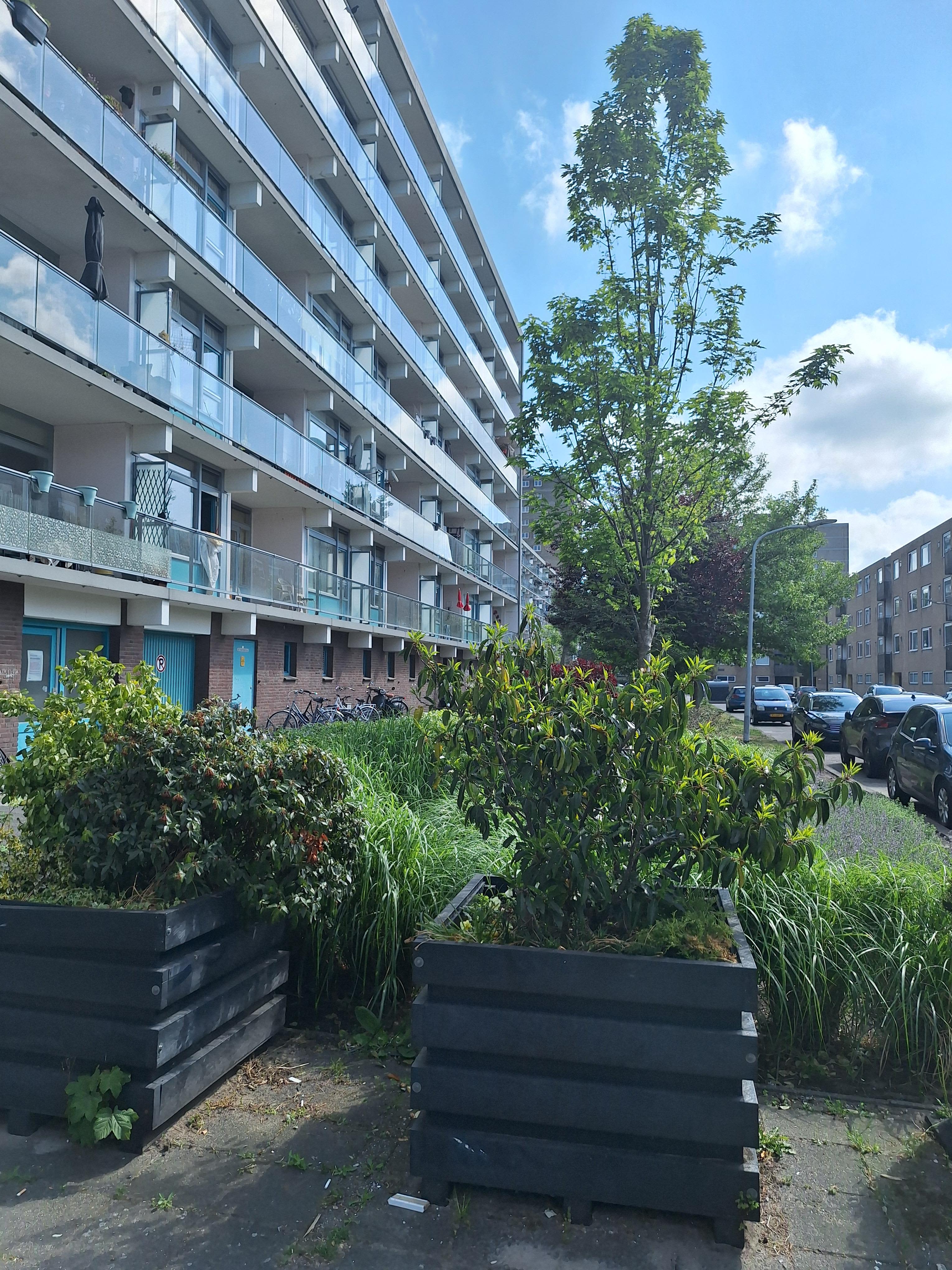 Waddenstraat 115 - Haarlem