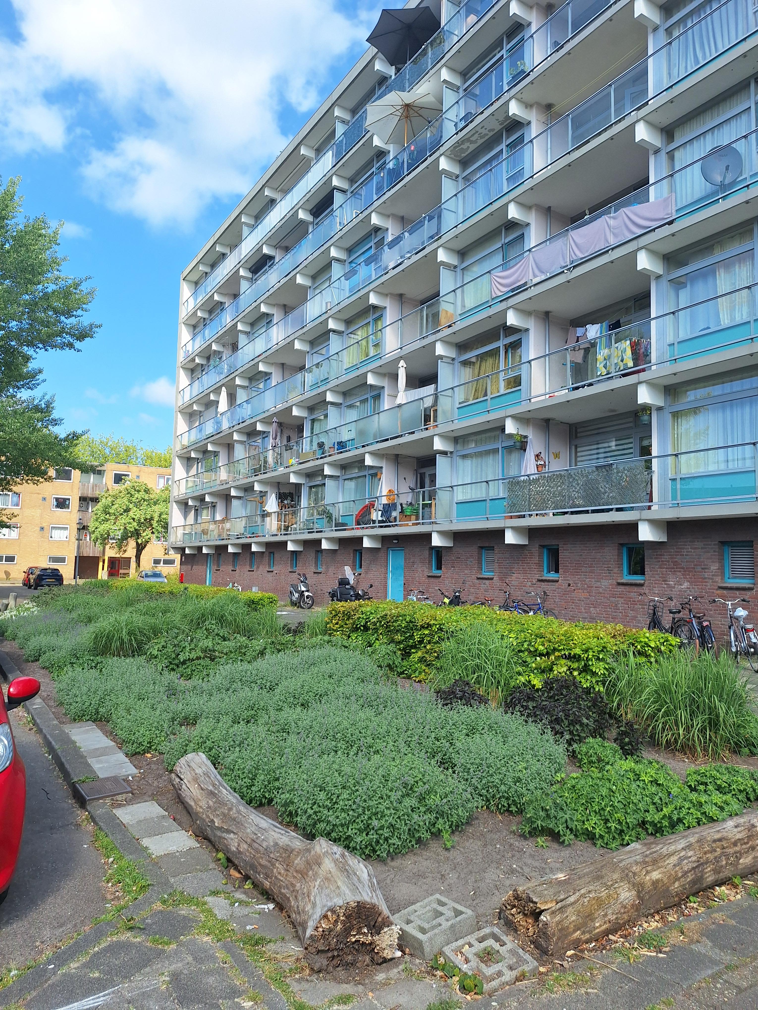 Waddenstraat 115 - Haarlem