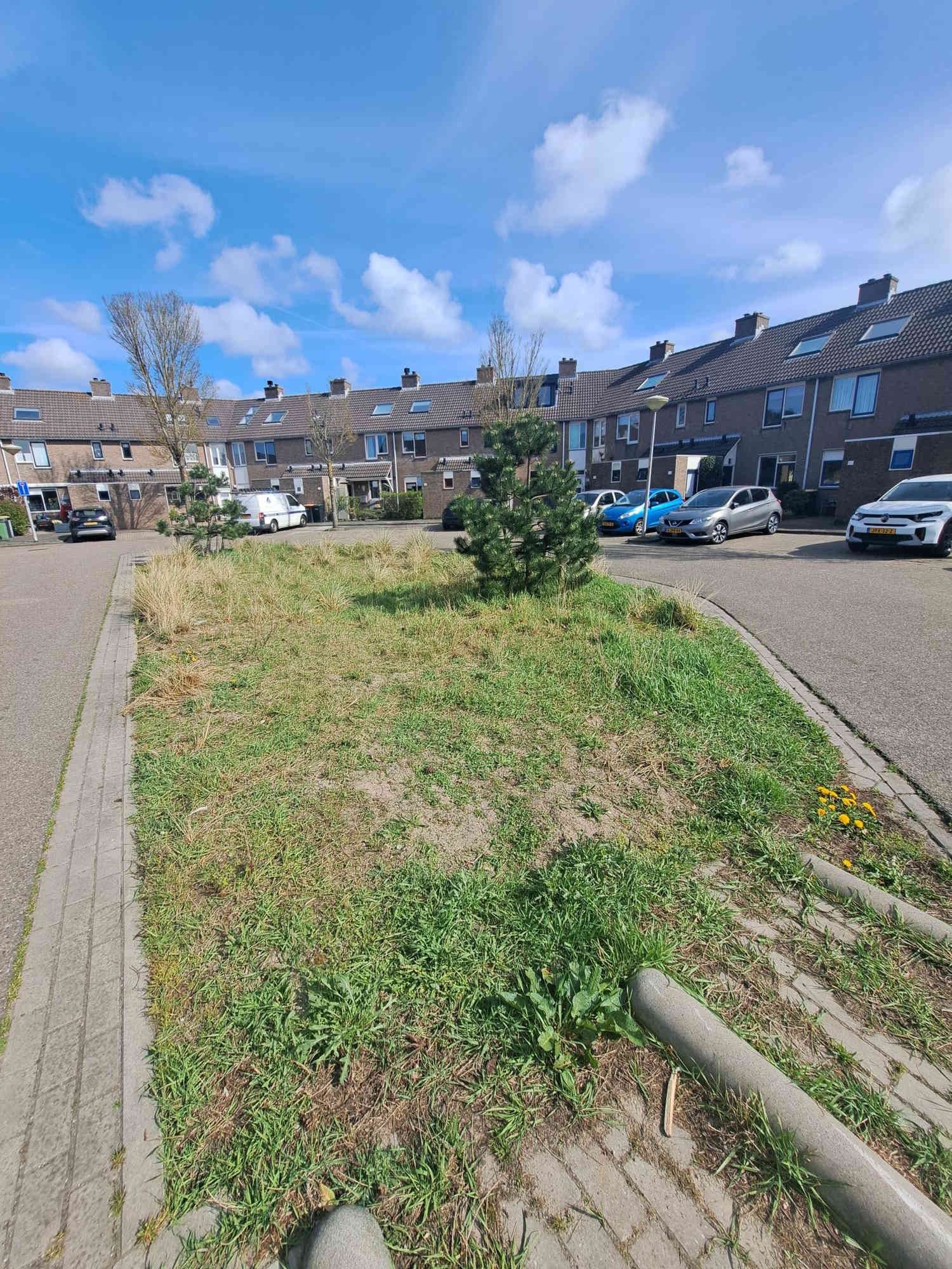 Snippenbos 45 - IJmuiden