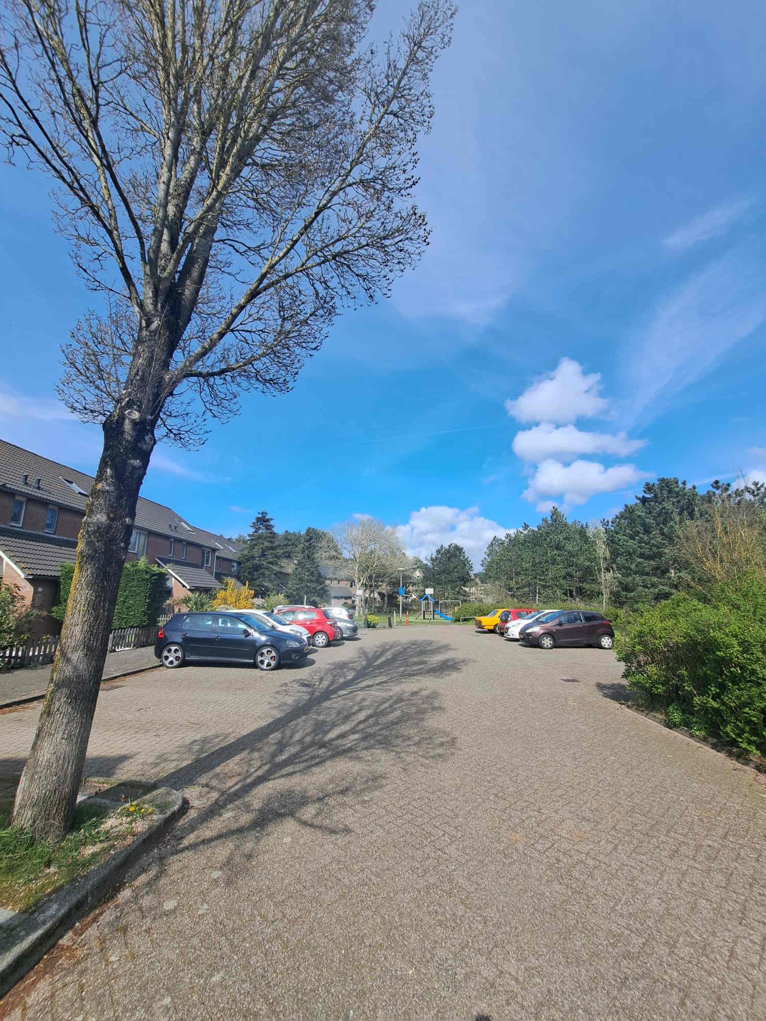 Snippenbos 45 - IJmuiden