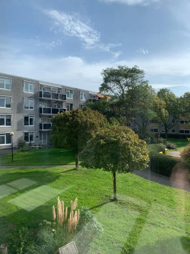 Elsbroekplantsoen 169 - Zaandam