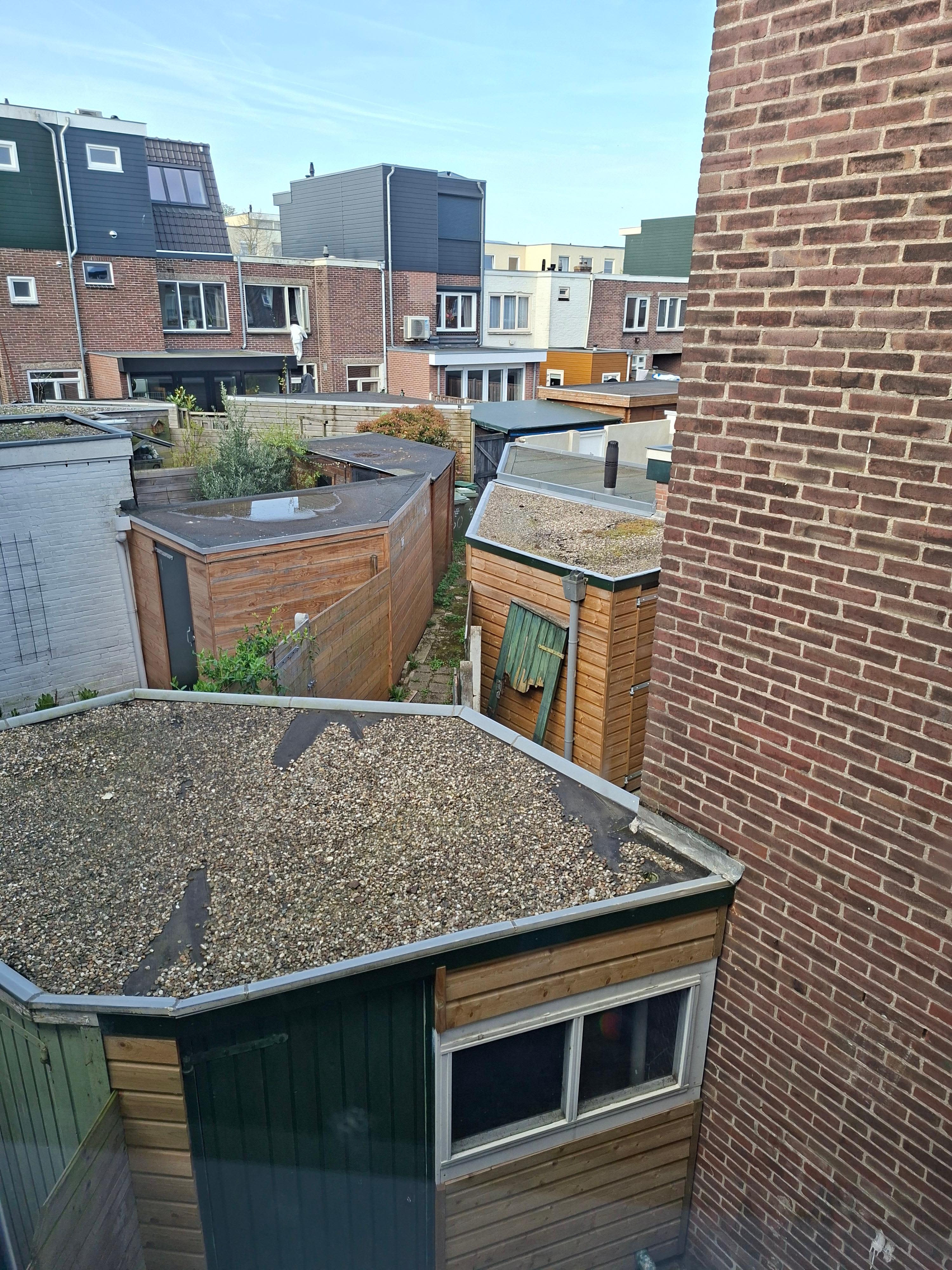 Nachtegaalstraat 56 - Haarlem