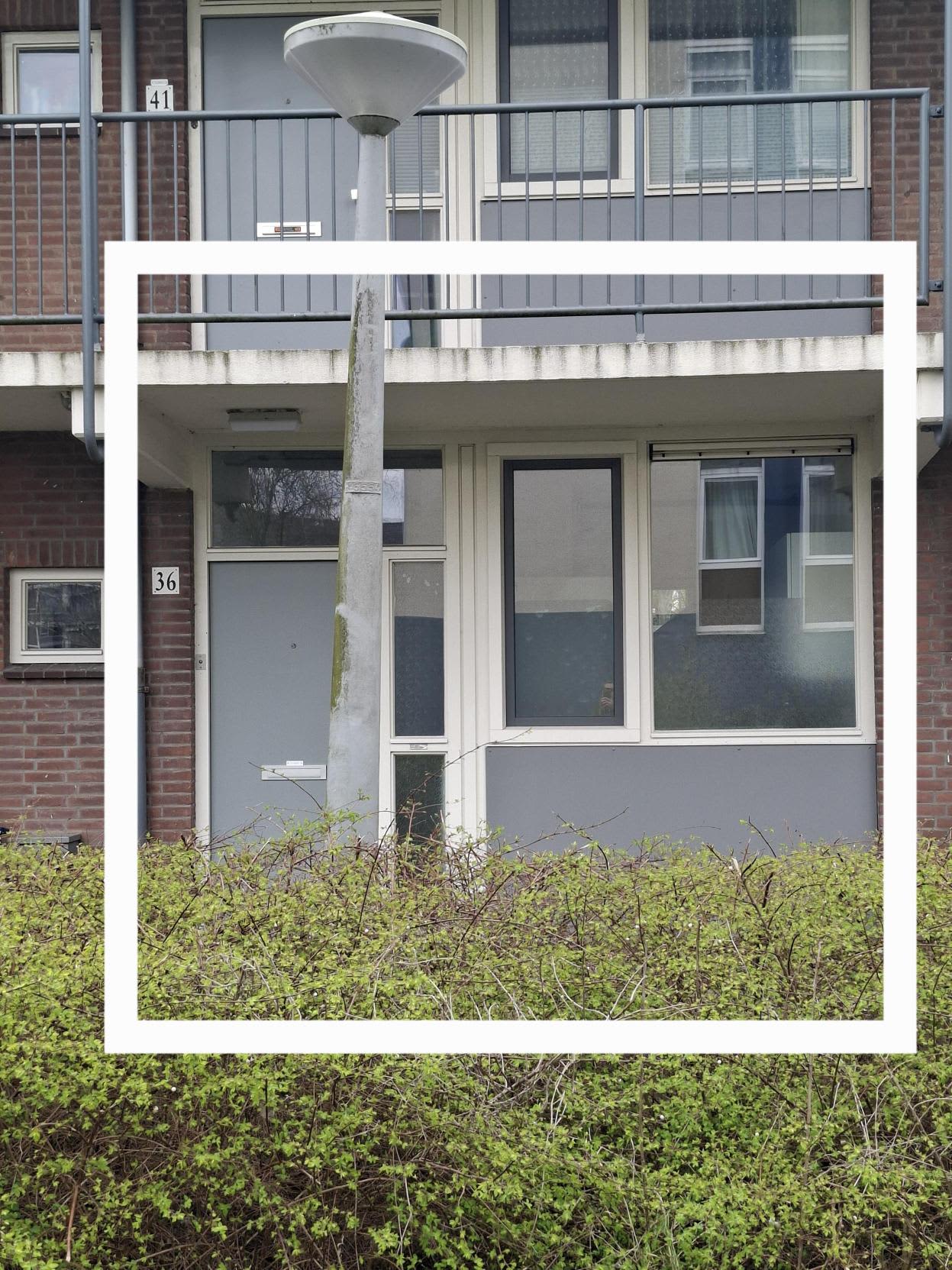 Naaldwijkstraat 36 - Amsterdam