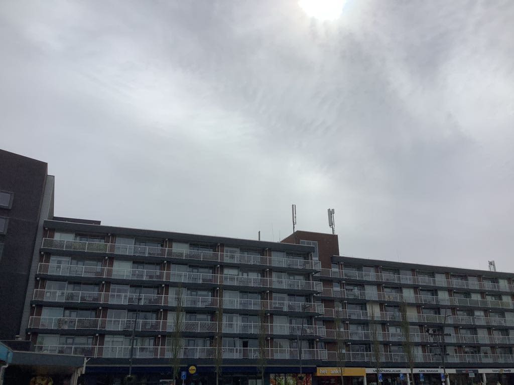 Wilgenplein 310 - Alblasserdam