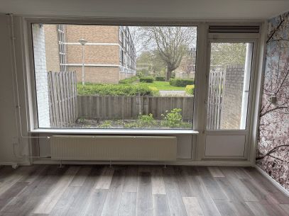Nedersticht 137 - Amsterdam