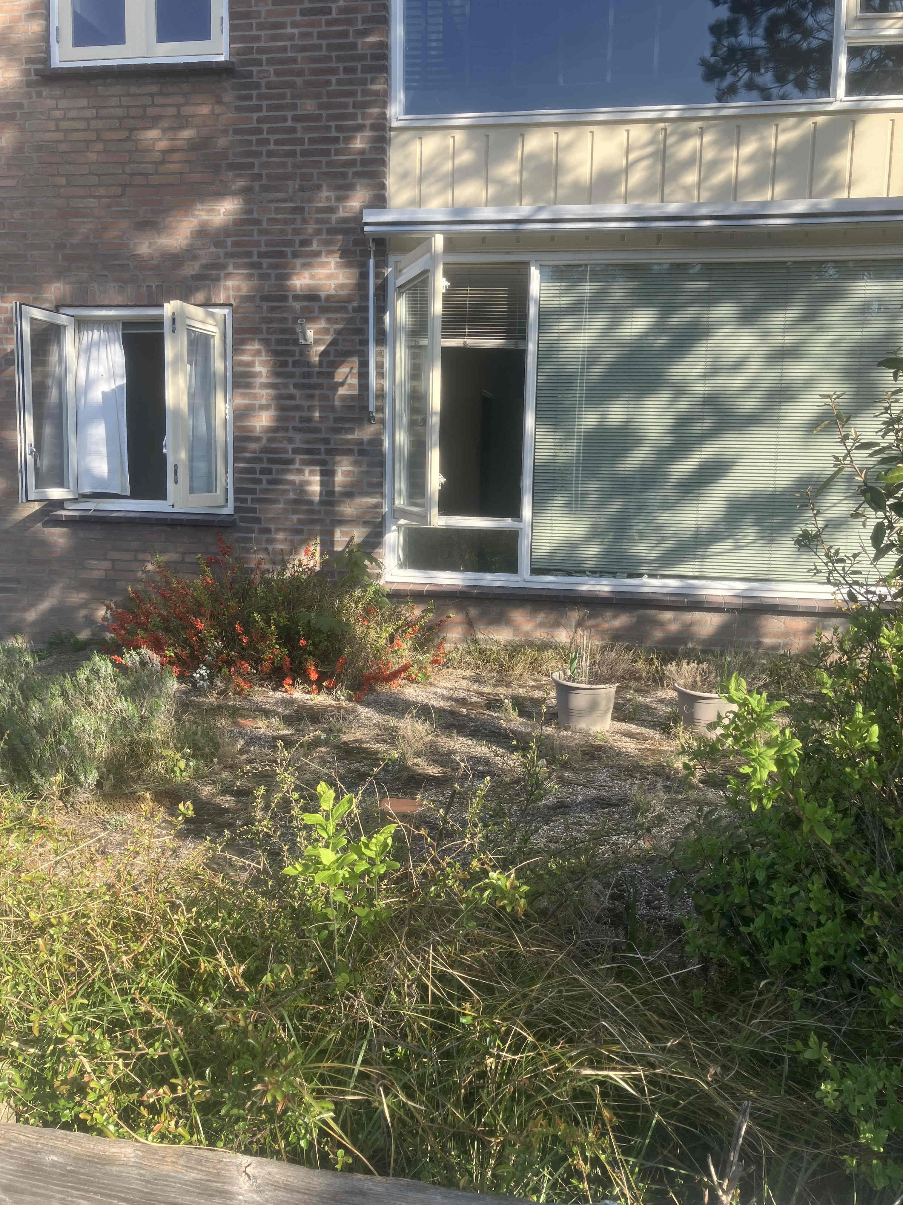 Linnaeusstraat 9b - Zandvoort