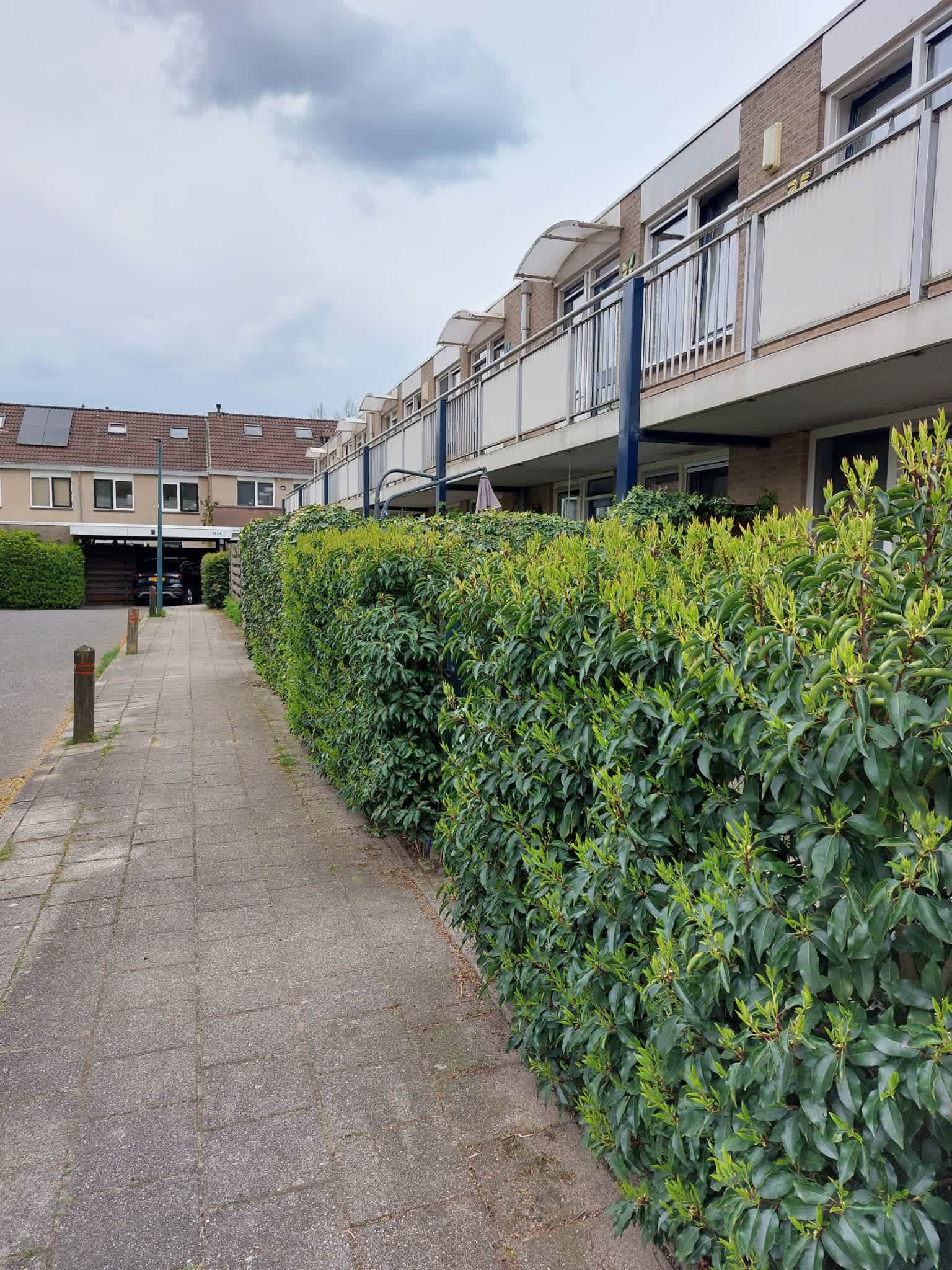 de Lei 27 - Driebergen-Rijsenburg