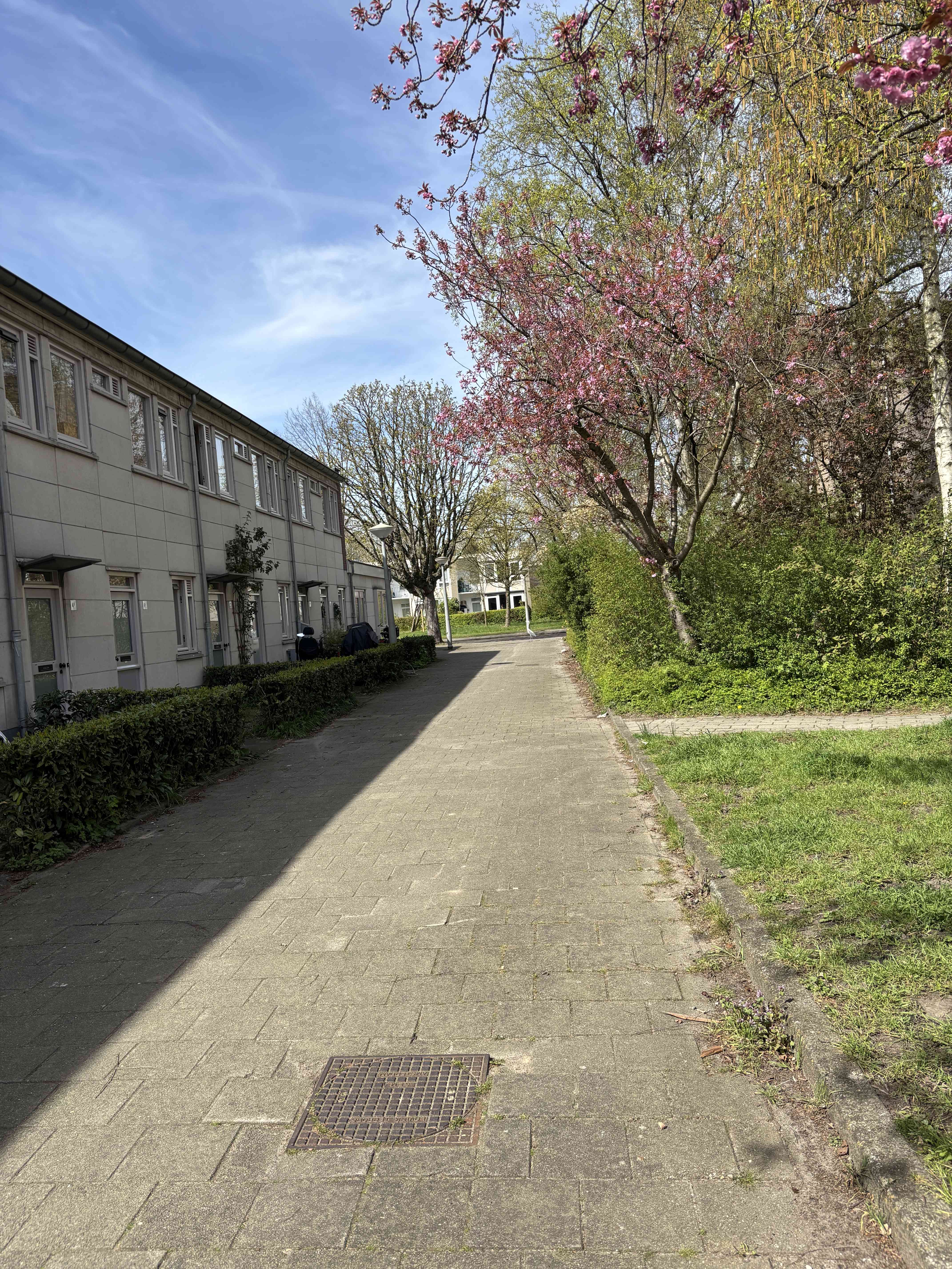 Von Humboldtstraat 6B - Amsterdam