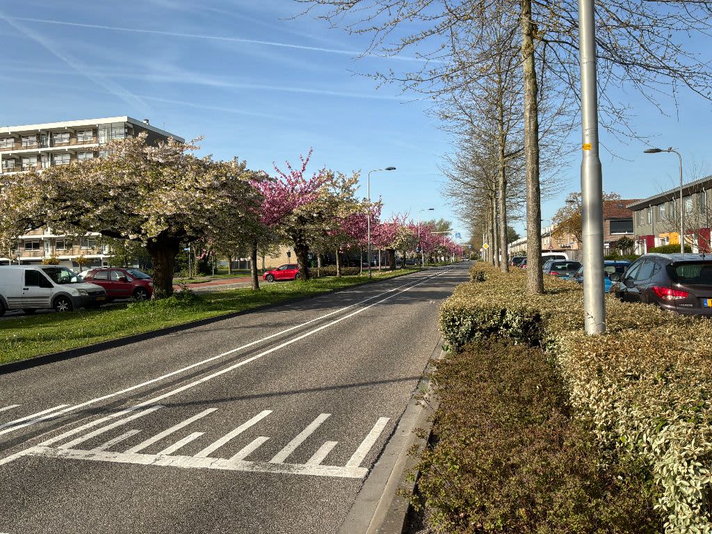 van Limburg Stirumstraat 82 - Culemborg