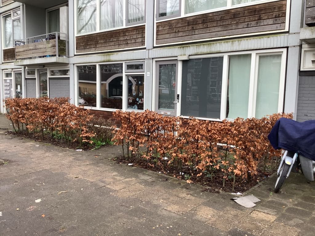 Taagdreef 64A - Utrecht