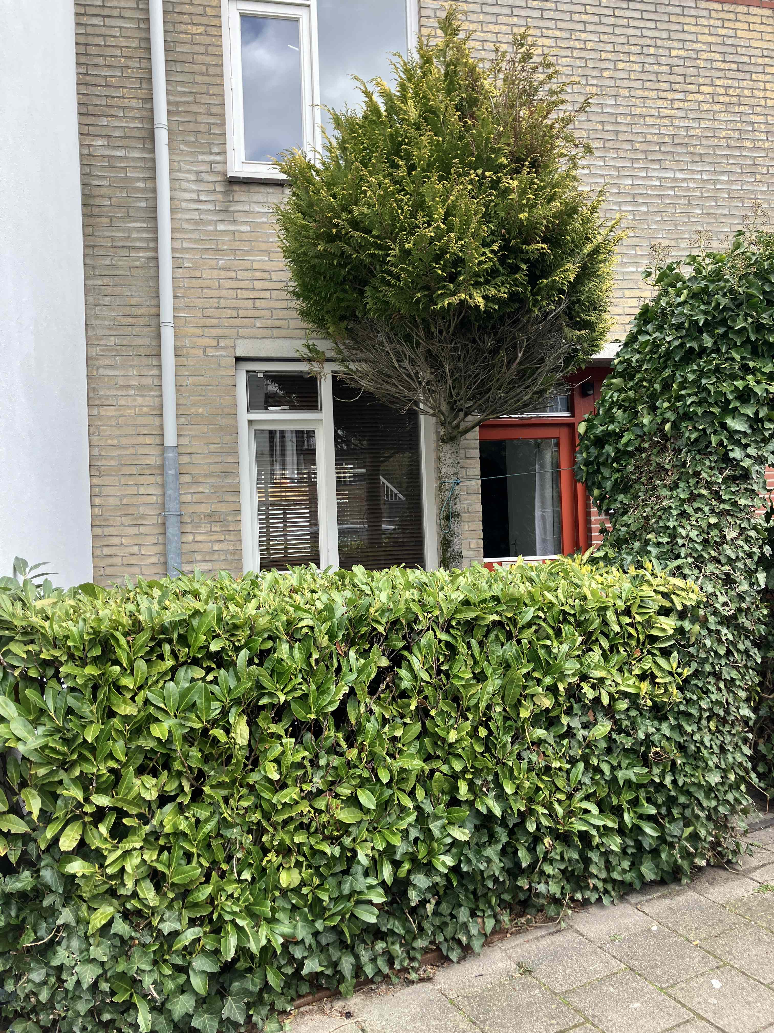 Johannes de Breukstraat 3 - Haarlem
