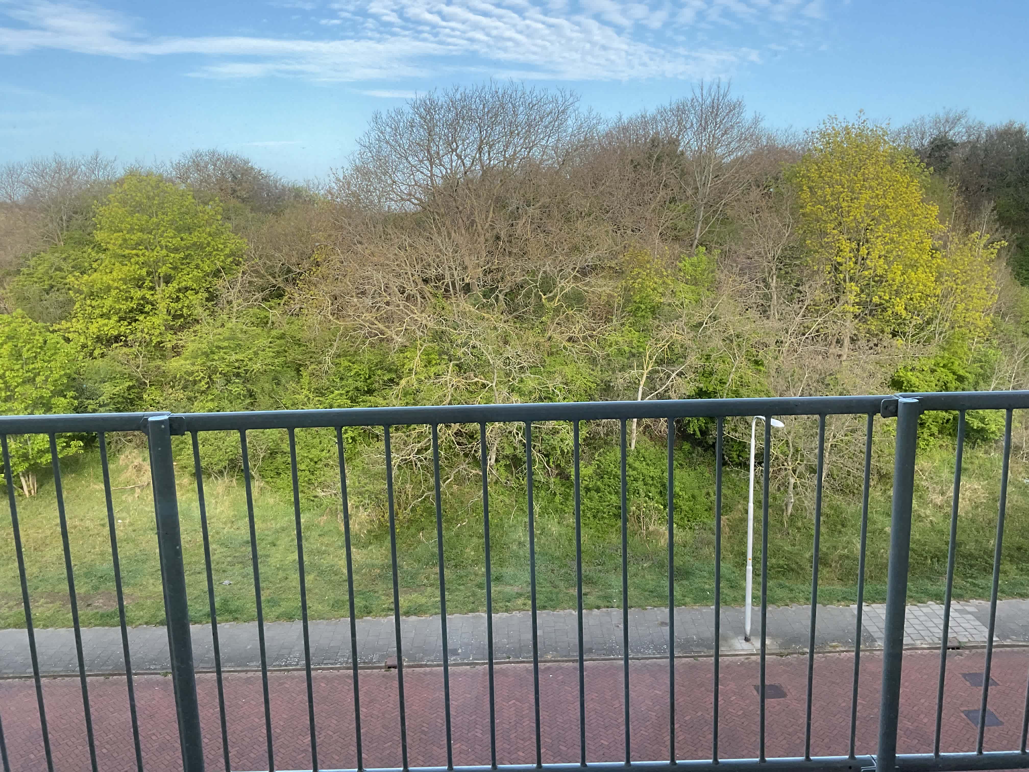 Zwarte Mierenvlak 27 - IJmuiden