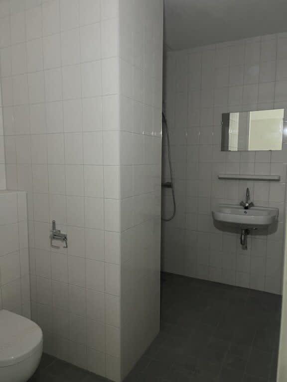 Paltrokstraat 29G - Zaandam