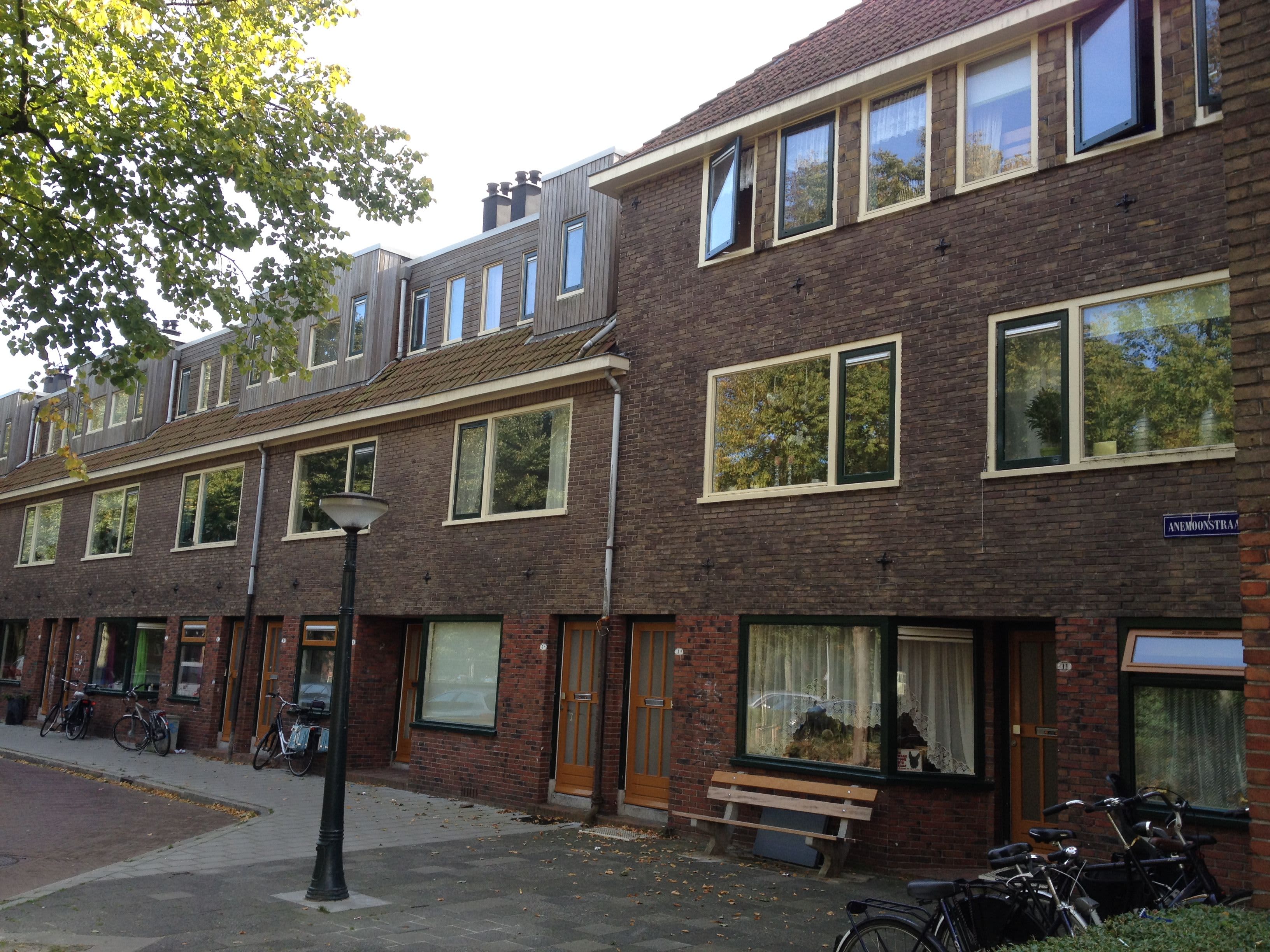 Anemoonstraat 3B - Groningen