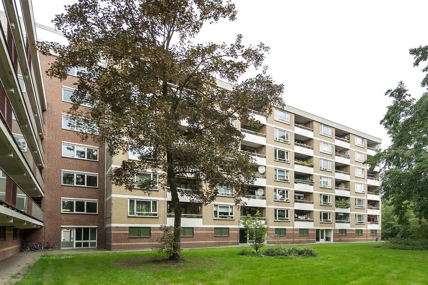 Arendshorst 107 - Amersfoort