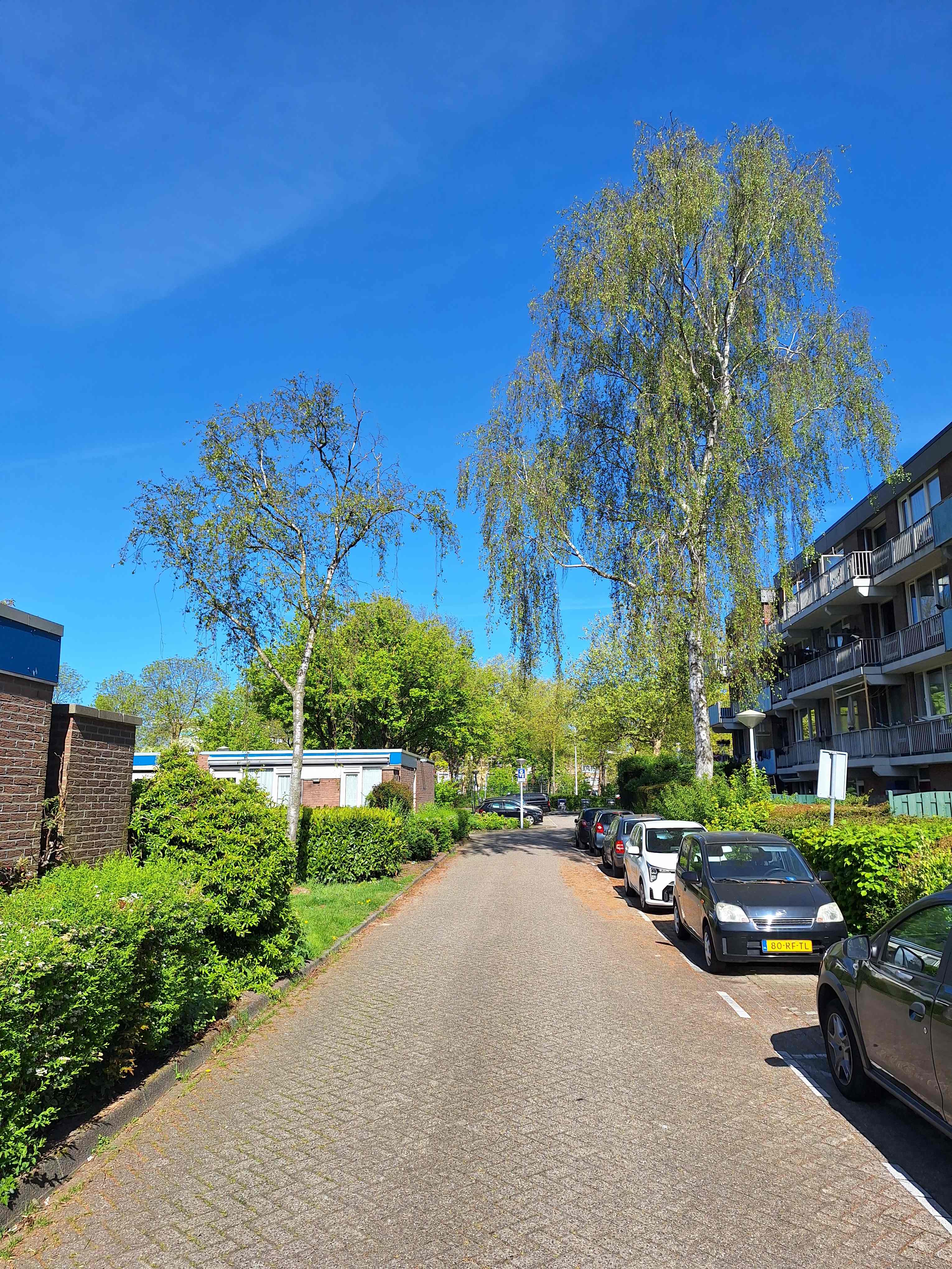 Binnenvaart 37 - Amsterdam