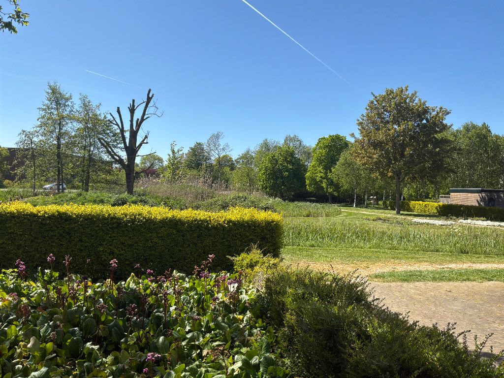 Neerijnenlaan 61 - Tiel
