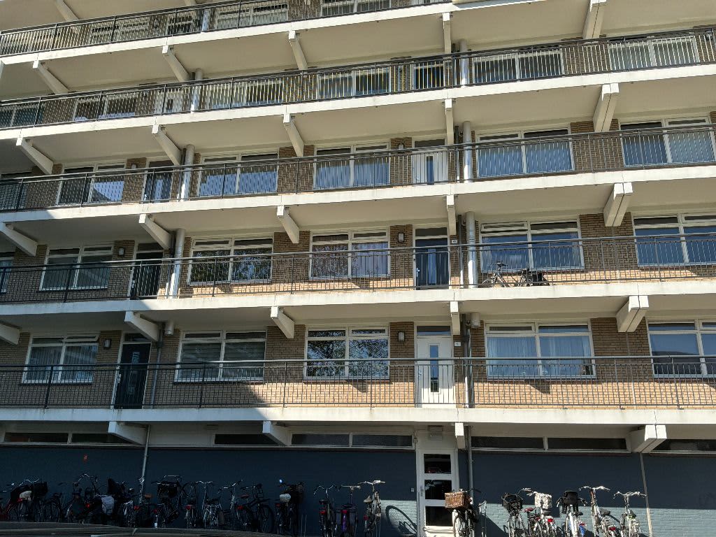 Martin Luther King 41 Culemborg