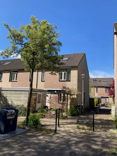 Westeinde 17 Haarlem