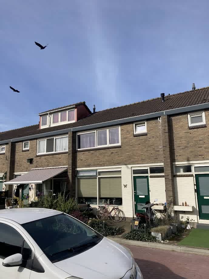 Roodborststraat 8 Wormerveer