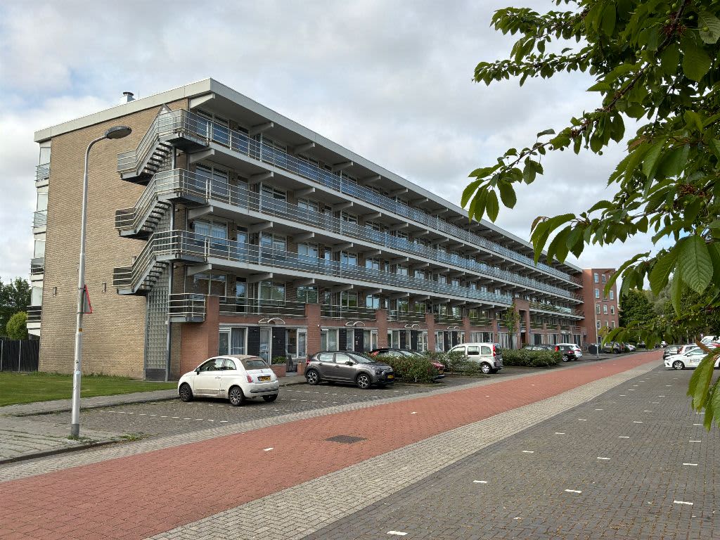 Martin Luther King 267 Culemborg