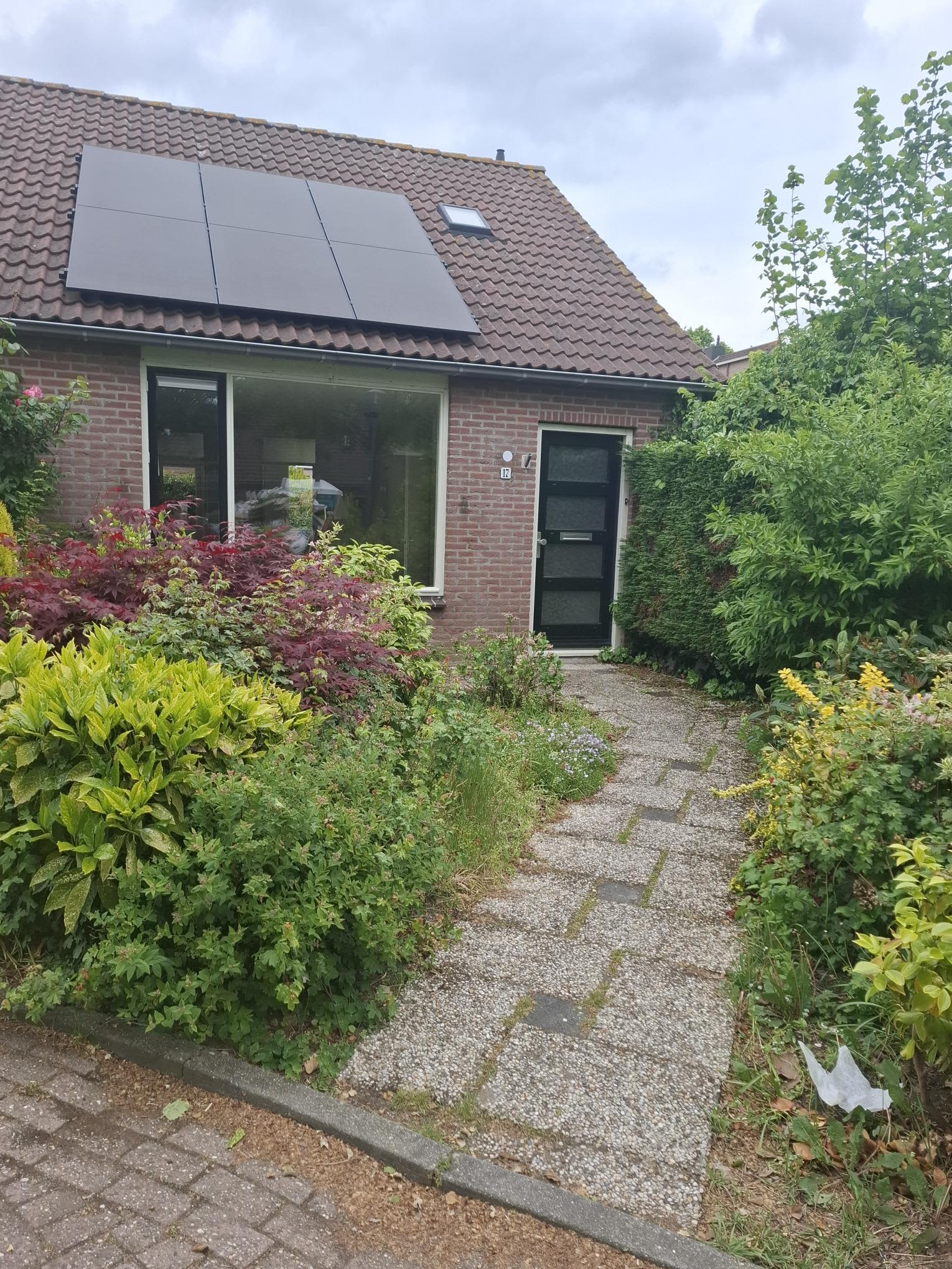 Anemoon 17 Breukelen