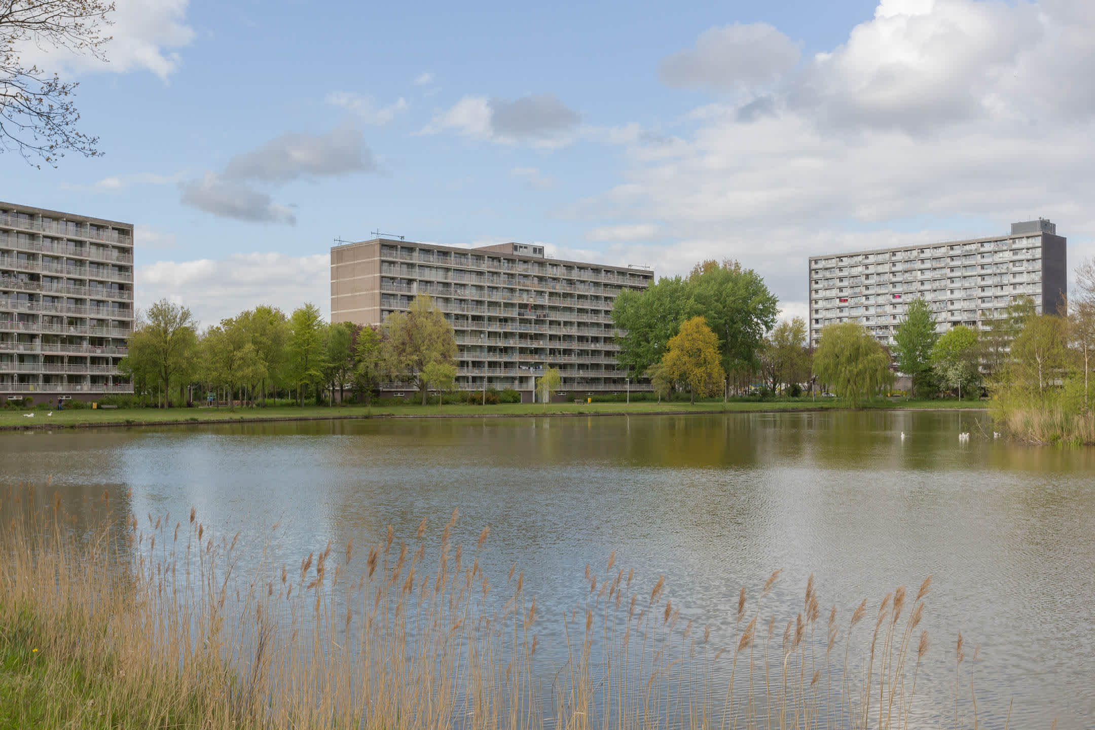 free-sector-houses for rent on Johannes Huslaan 310