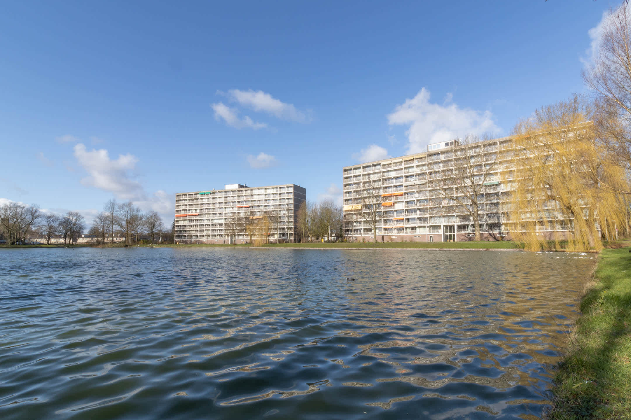 vrije-sector-woningen te huur op Johannes Huslaan 184