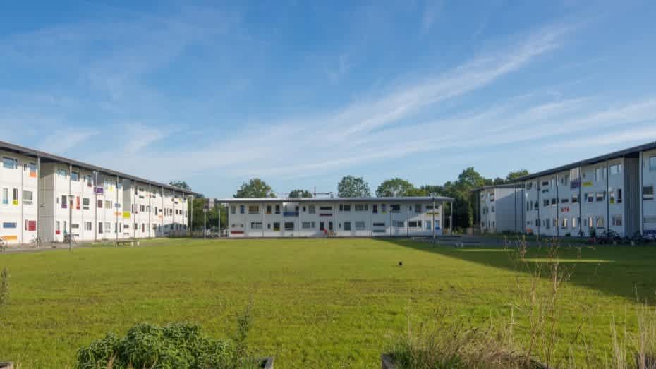 Voetbalstraat 227, Amsterdam
