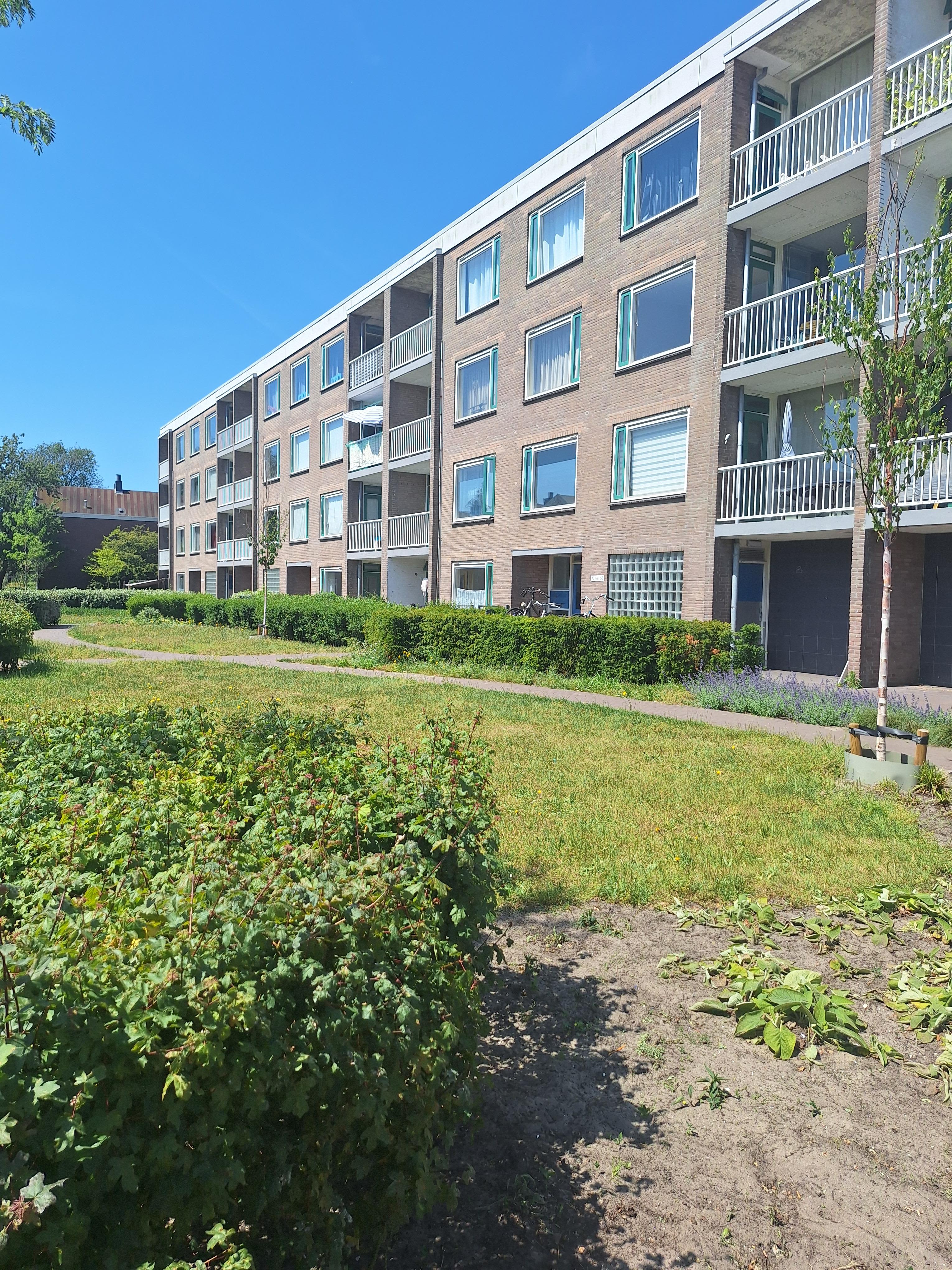 Adlerstraat 65, Haarlem