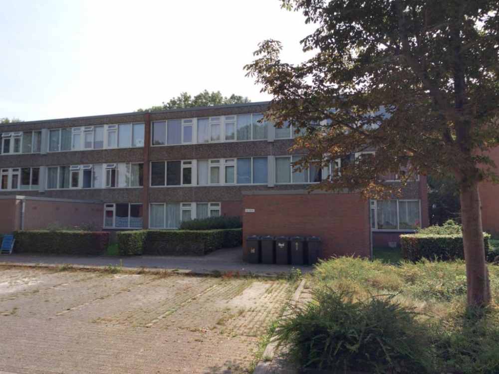 Dukdalf 91, Groningen