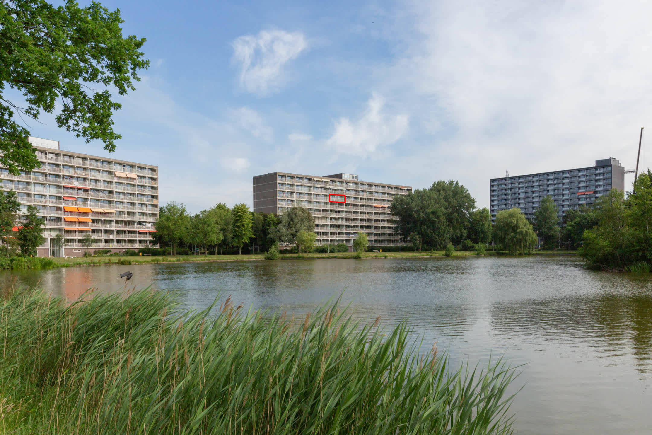 private-rentals for rent on Johannes Huslaan 264