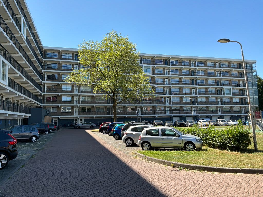 Martin Luther King 177 Culemborg