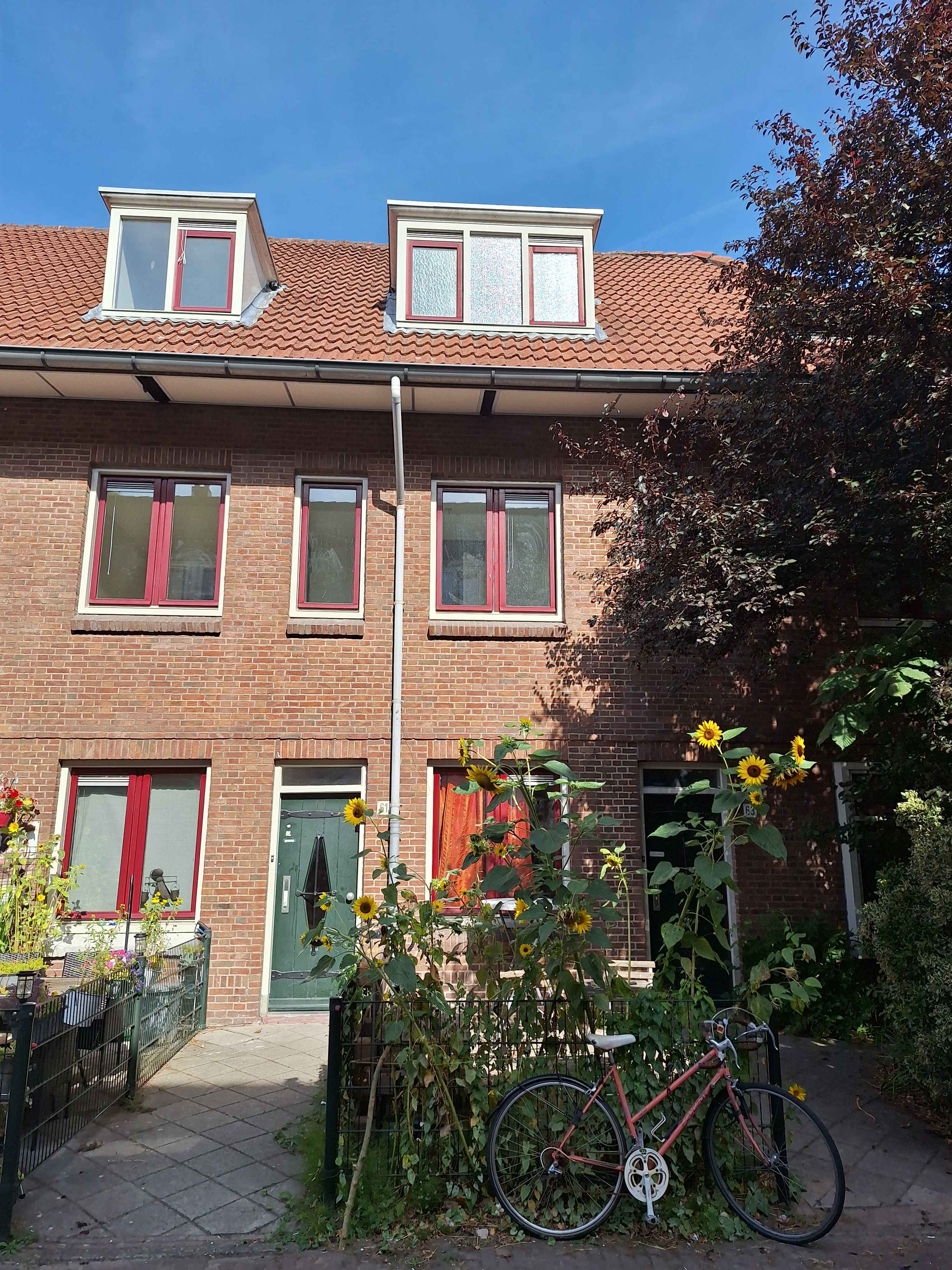 Leeuwerikstraat 61, Amsterdam