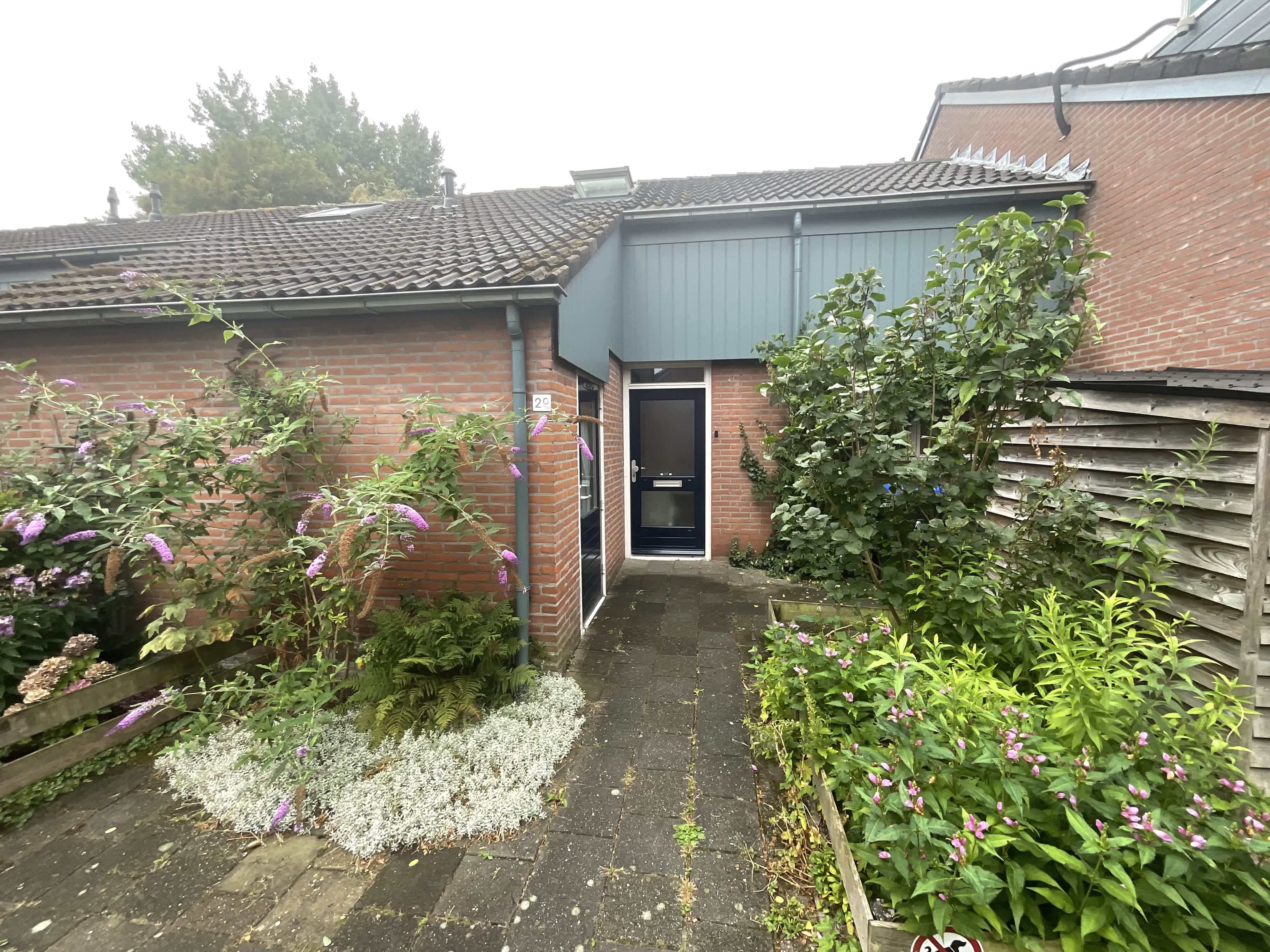 Orchideestraat 29, Groningen