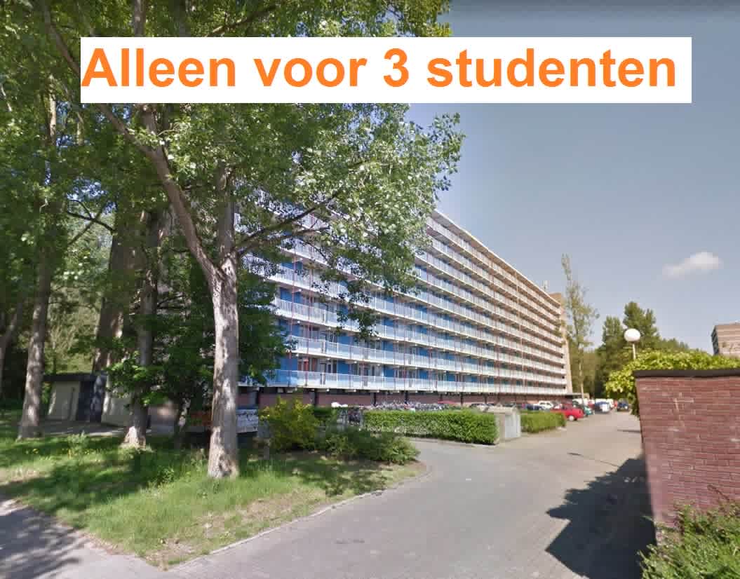 Saffierstraat 174, Groningen