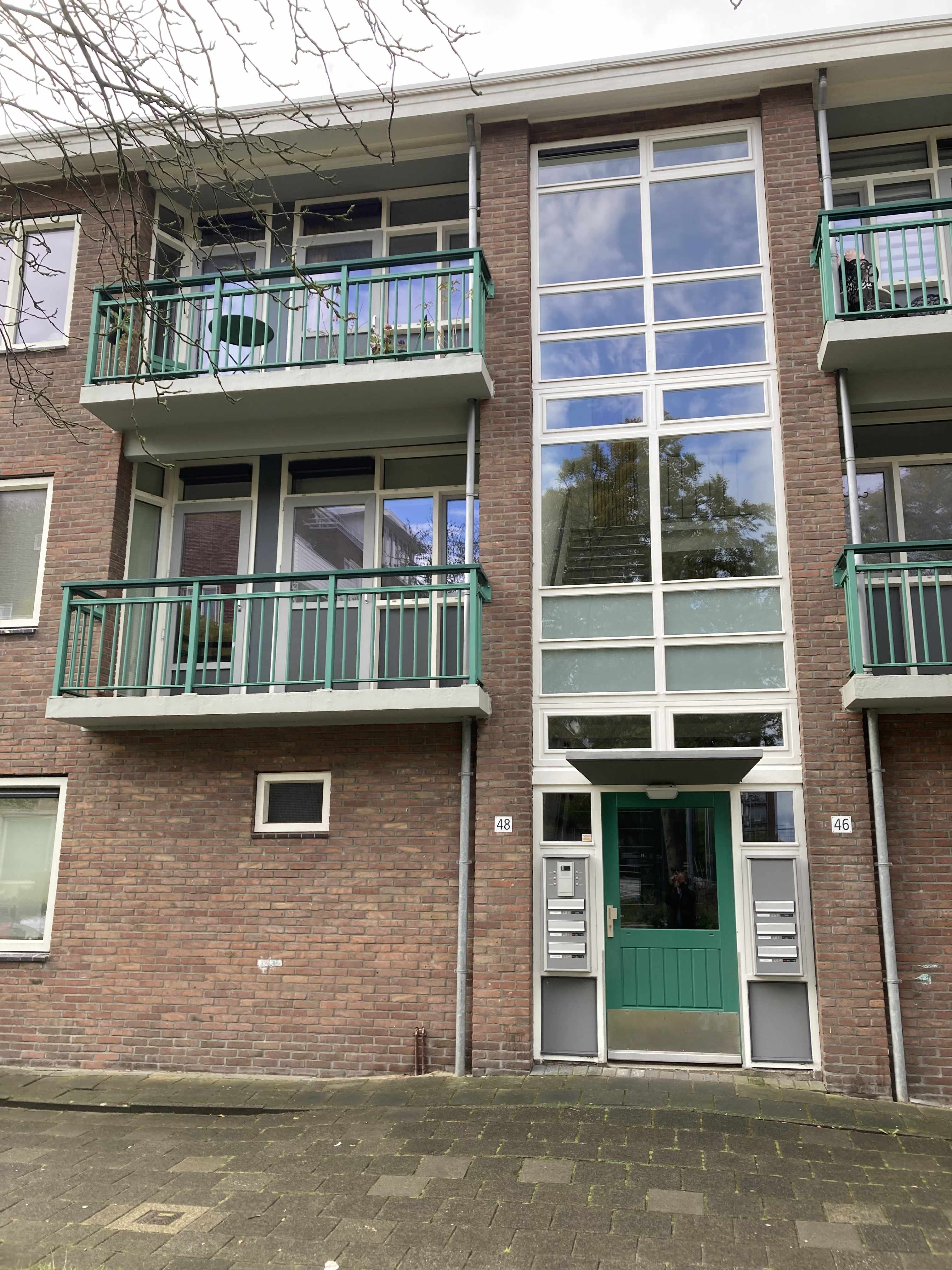 Jac. van Looystraat 48 I Haarlem
