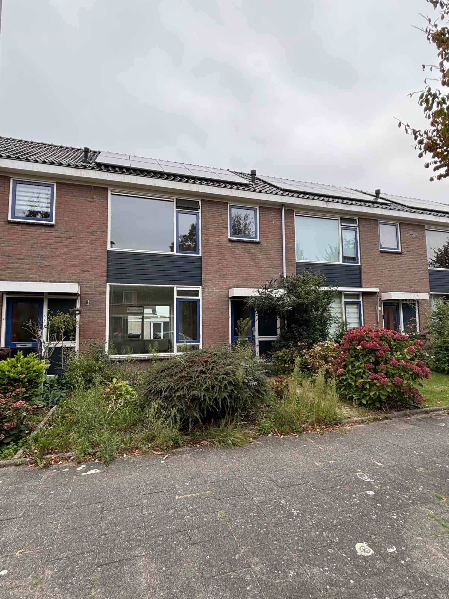 Camphuysenstraat 58, Utrecht